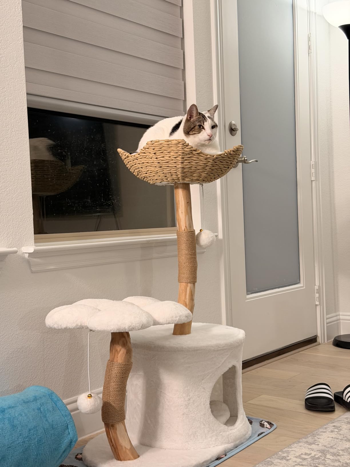 Easyego Modern Cat Tree, 39.9