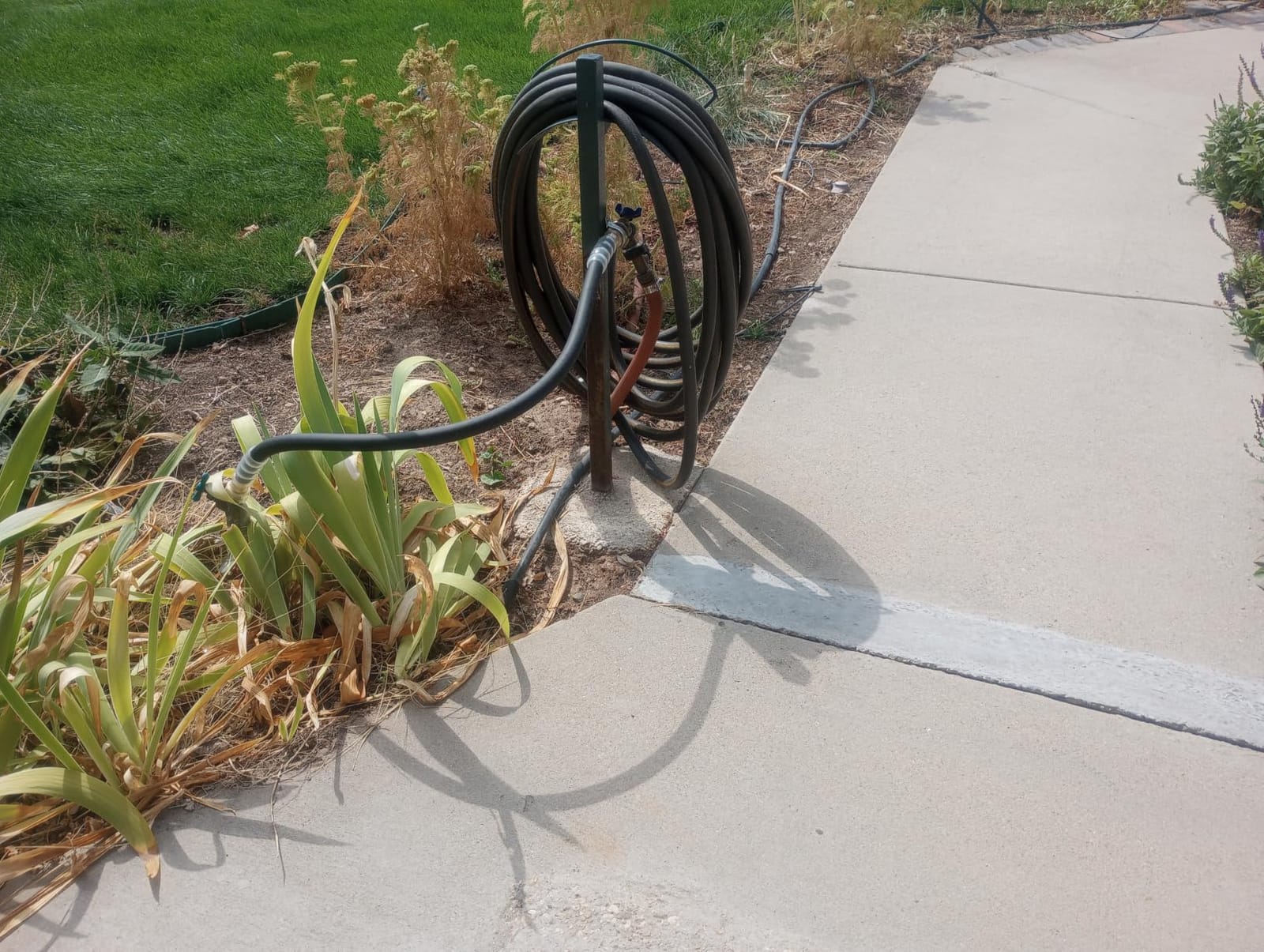 Heavy Duty Premium Garden Hose 50ft x 5/8