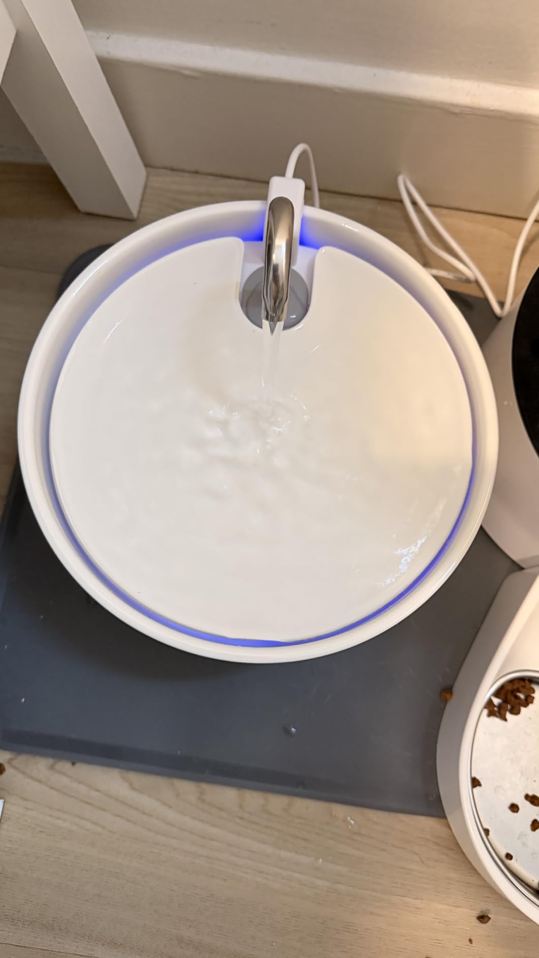Wonder Creature Ceramic Cat Water Fountain 2.2L/74oz (White) customer photo 1
