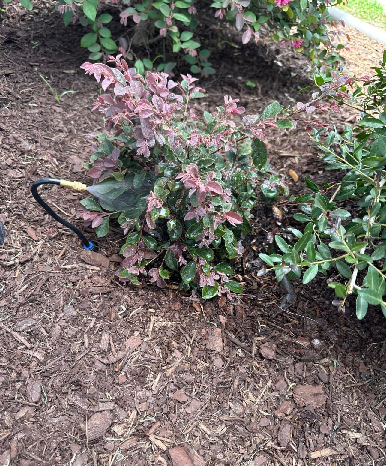 60FT Drip Irrigation System with Smart Water Timer customer photo 1
