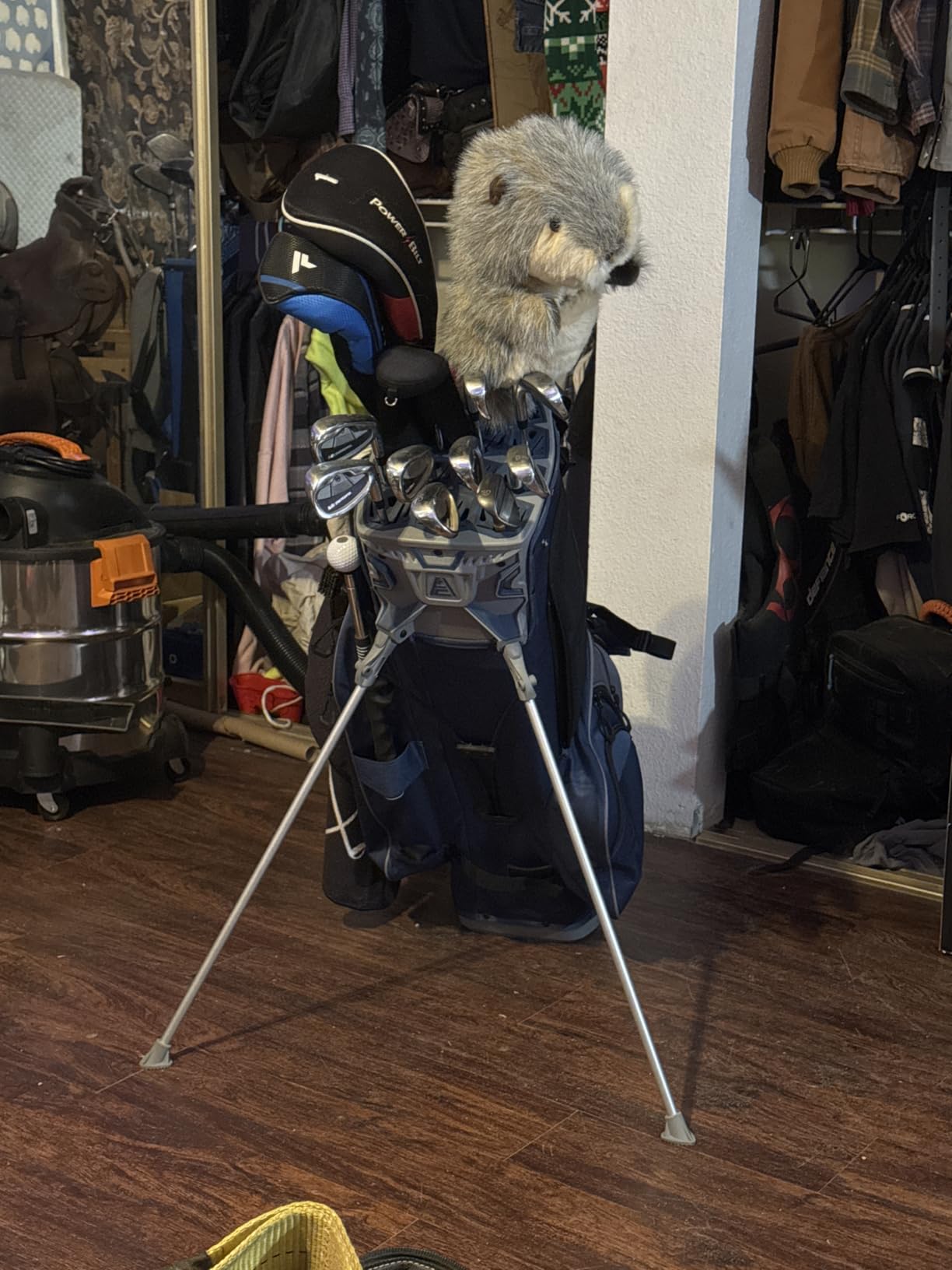ASK ECHO Soundless 14-Way Golf Stand Bag for Men & Women customer photo 2