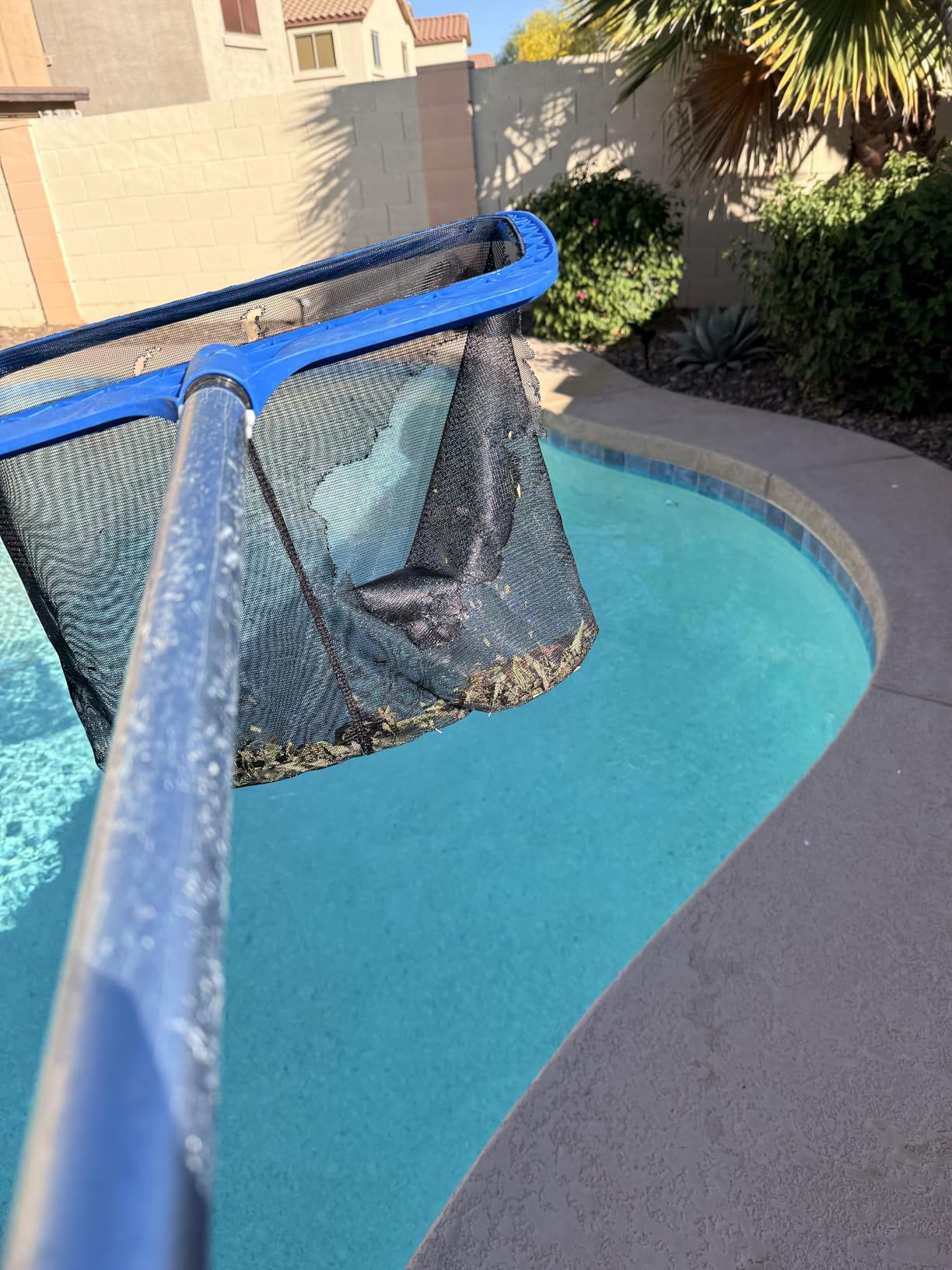 Pool Skimmer Net for Cleaning – Heavy Duty Deep Mesh Pool Net Skimmer - Fine Leaf Rake Net for Swimming Pools, Ponds - Strong Frame - Fits Standard Pool Poles (Net Only, No Pole) - Blue customer photo 1