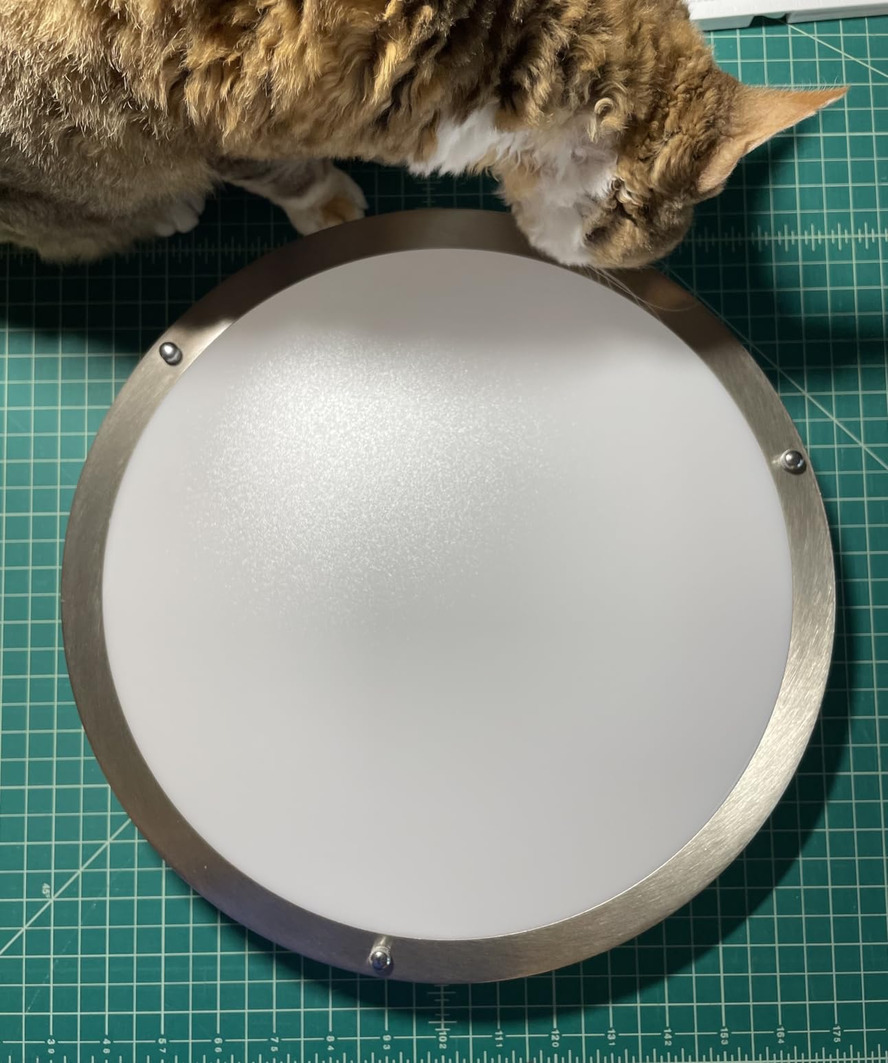 libtit 13-Inch Flush Mount Ceiling Lights, Dimmable 3000K-6500K Adjustable LED Ceiling Light, 24W Round Slim Light Fixture, Brushed Nickel for Kitchen, Bedroom, Bathroom, Hallway-ETL Listed customer photo 2