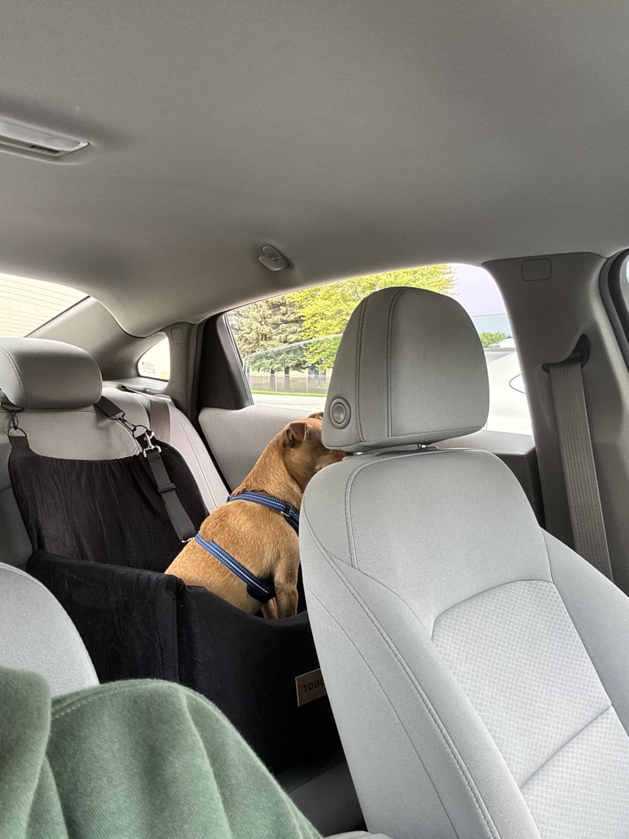 JOEJOY Dog Car Seats for Small Medium Dogs Under 35lbs, Dog Booster Seat with Detachable Washable Cover and Cushion, Memory Foam Pet Car Seat with Safety Belt and Storage Pockets (Black) customer photo 1