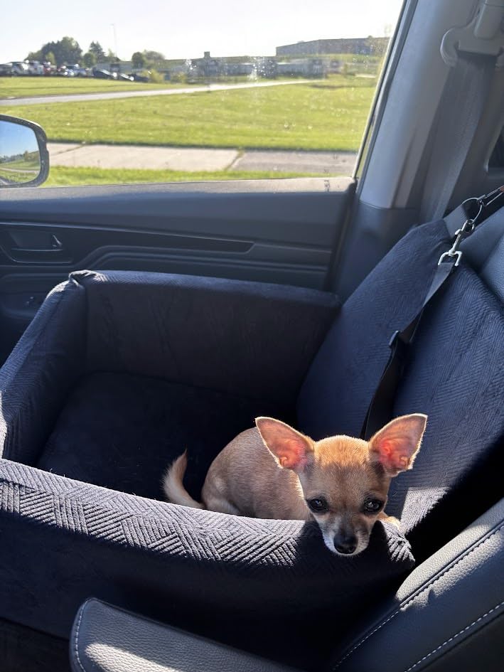 JOEJOY Dog Car Seats for Small Medium Dogs Under 35lbs, Dog Booster Seat with Detachable Washable Cover and Cushion, Memory Foam Pet Car Seat with Safety Belt and Storage Pockets (Black) customer photo 2