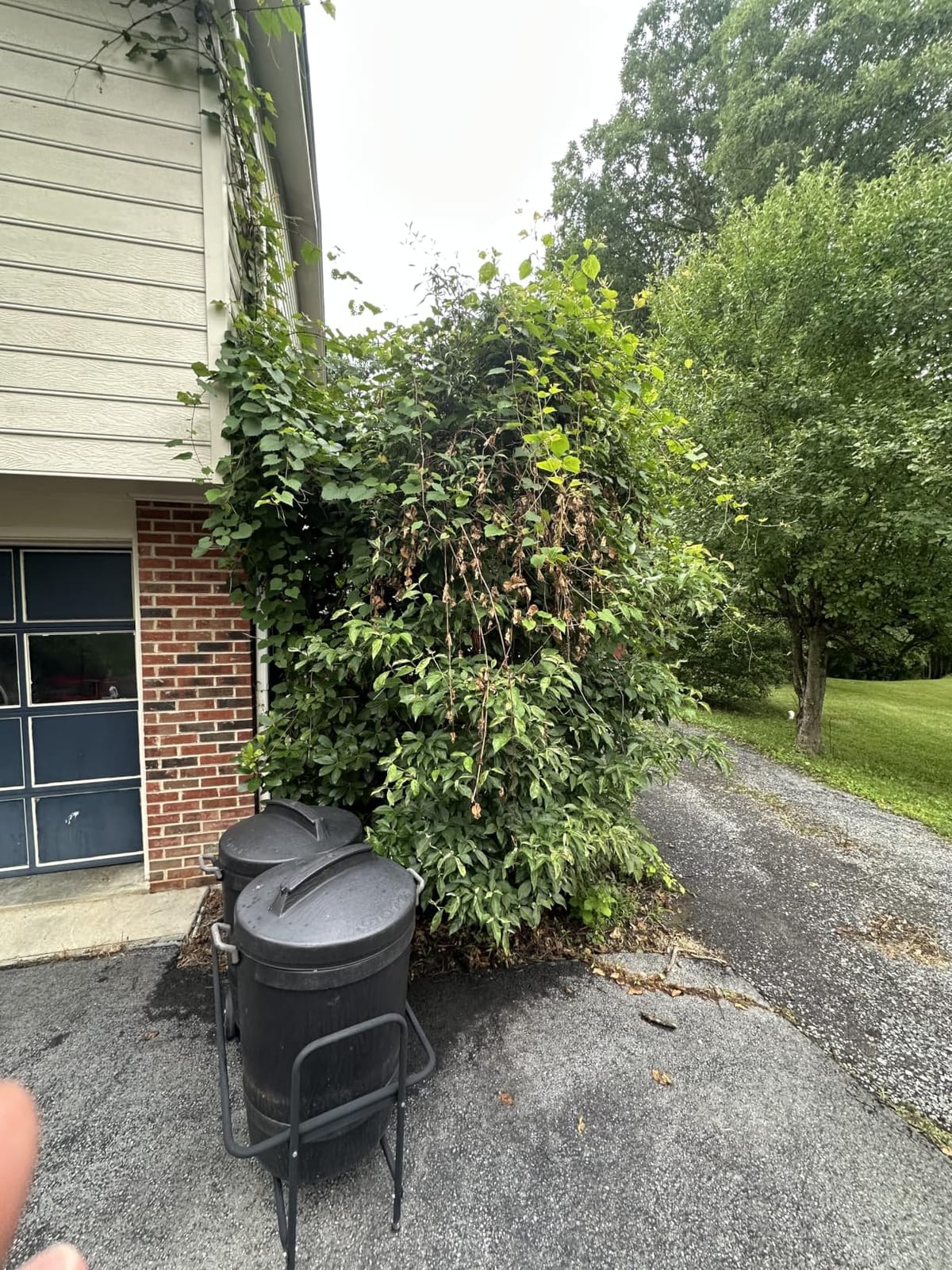 SEESII 6-in-1 Cordless Pole Saw & Hedge Trimmer Combo, Brushless Motor customer photo 2