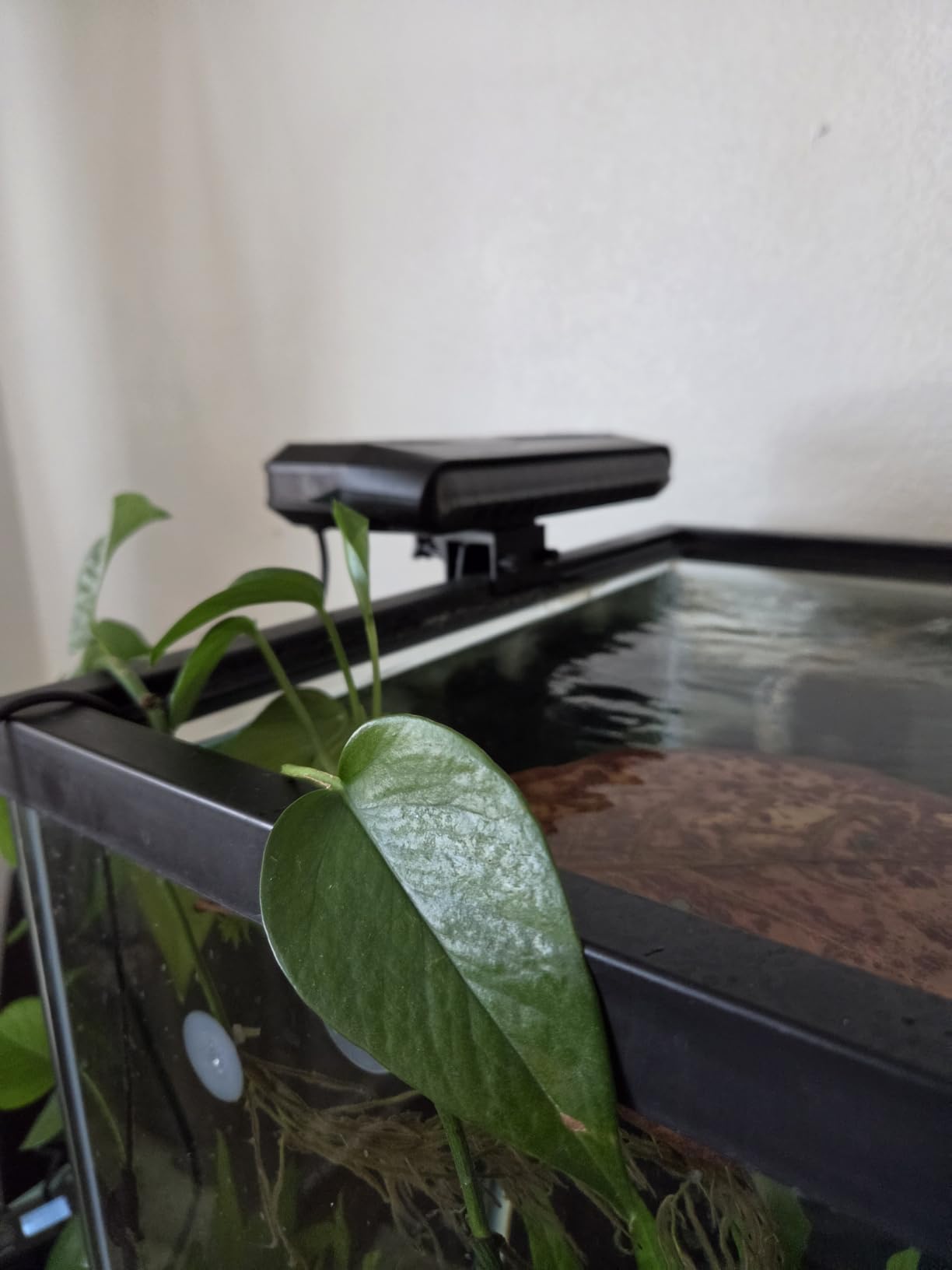 Aquarium Fan,Ultra-Quiet Fish Tank Cooler,More Powerful,Cooling Effect 3-7℉ with 3 Speed Modes Adjustable Applicable Aquariums with or Without Edges, for Axolotl Seawater Freshwater Coral Grass Tank customer photo 1