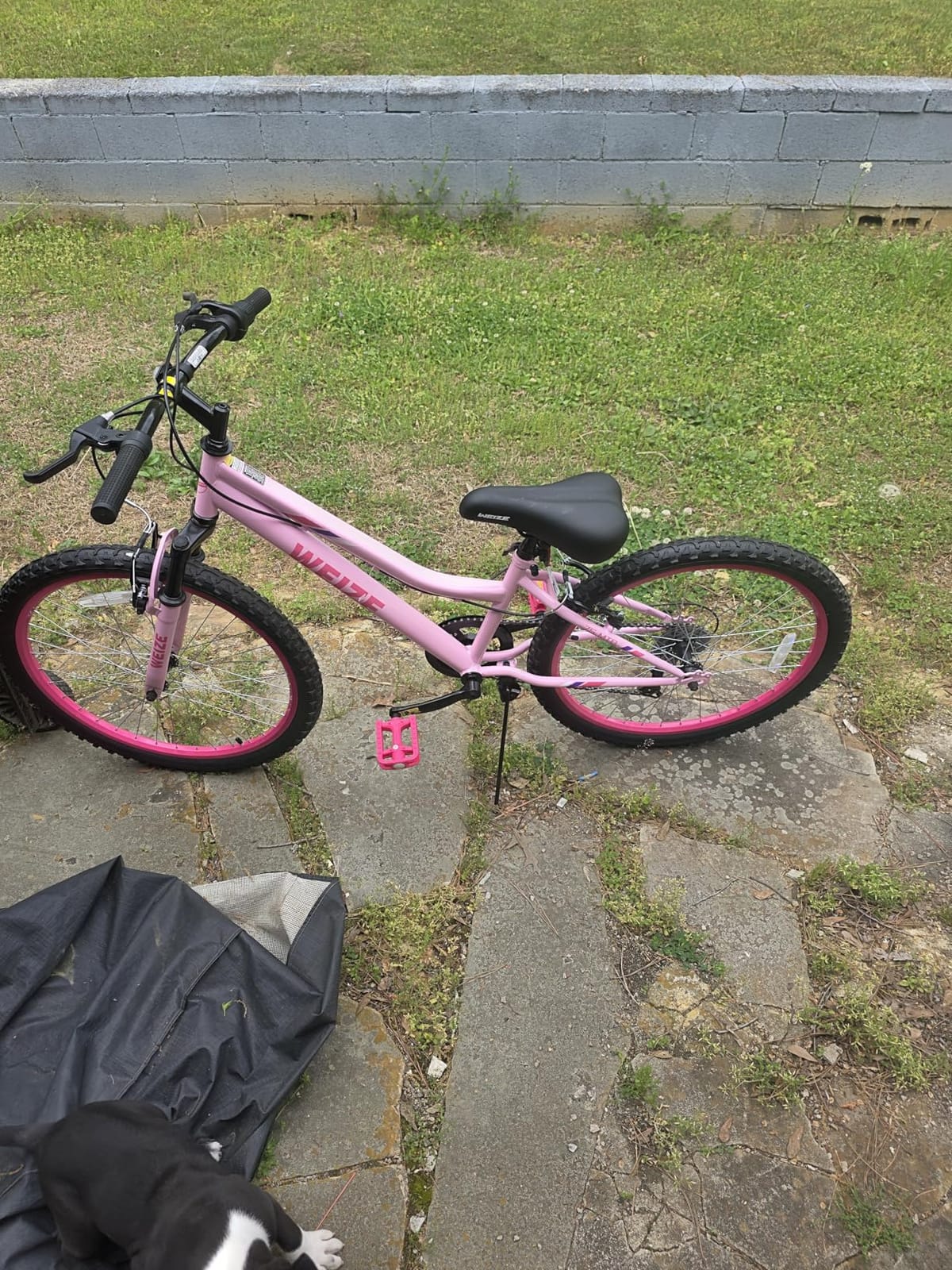 WEIZE 20 24 Inch Kid Mountain Bike, Kid Bike for Girls Kid Bicycle with Front Suspension Fork, Adjustable Seat Height, High-Carbon Steel Frame, Ideal for Girl Adventurers, Multiple Color customer photo 1