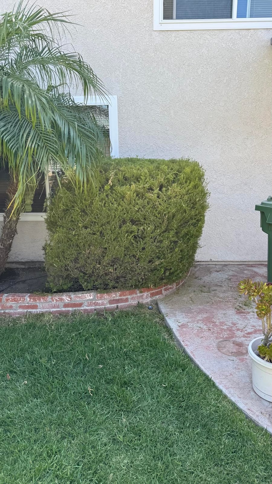 22 inch Hedge Trimmer Cordless with 2 Battery and Charger, 20V Bush Trimmer customer photo 1