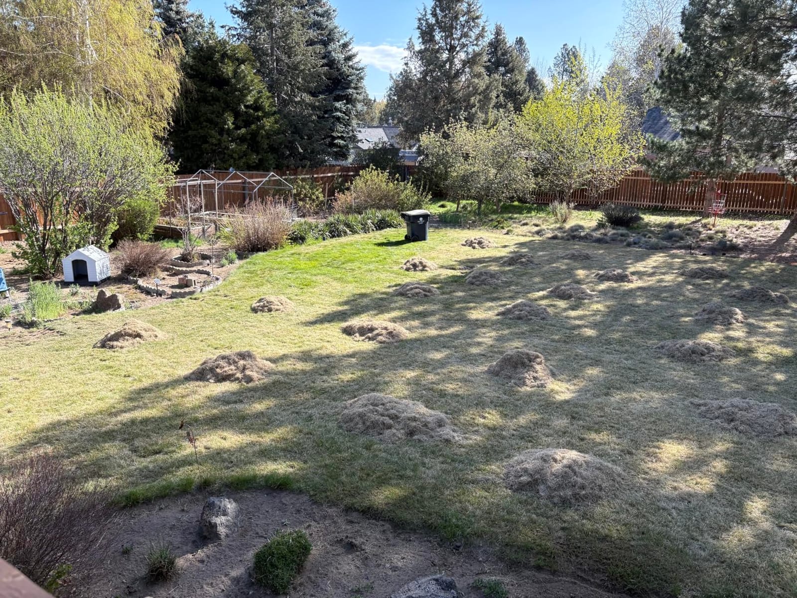 TIECTOWN 2026 Upgrade 16-Inch 15.5A Electric Dethatcher & Scarifier, Green customer photo 1