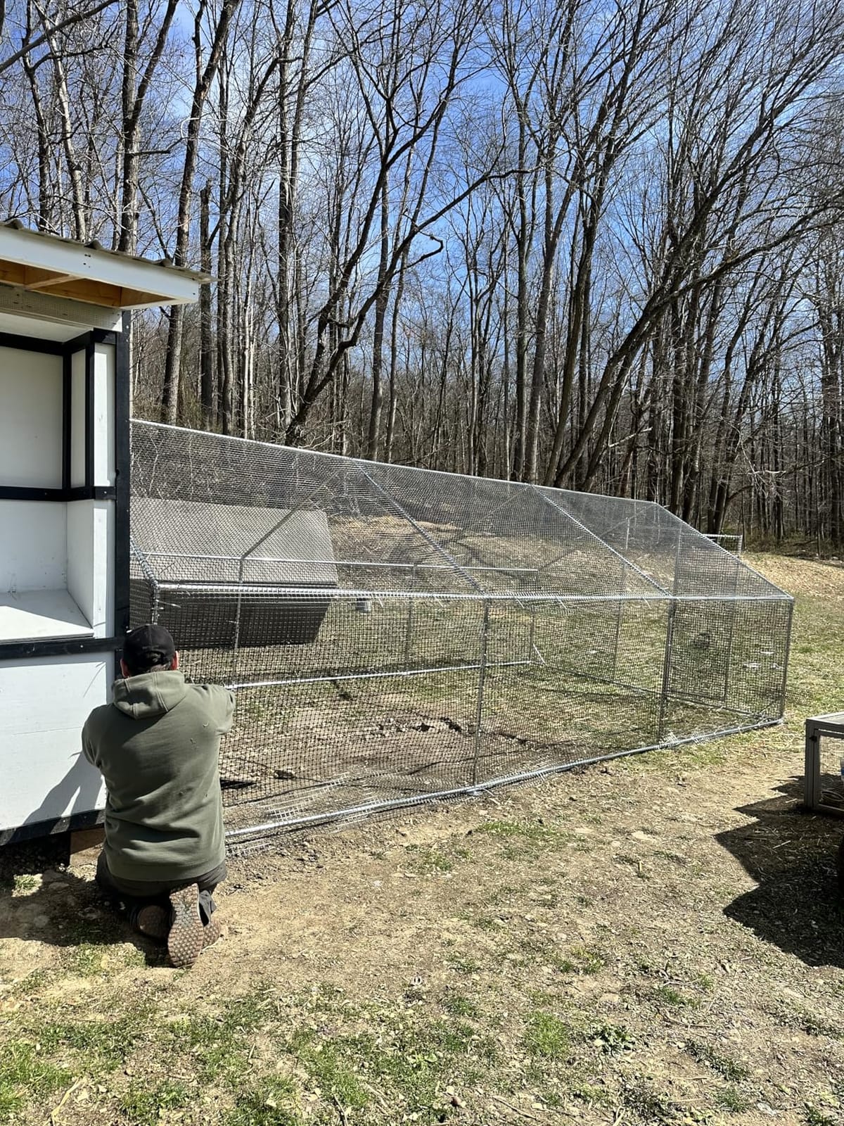 CAMMOO Walk in Chicken Coop, 19.7x9.8x6.6ft Chicken Run for Yard with Cover customer photo 1