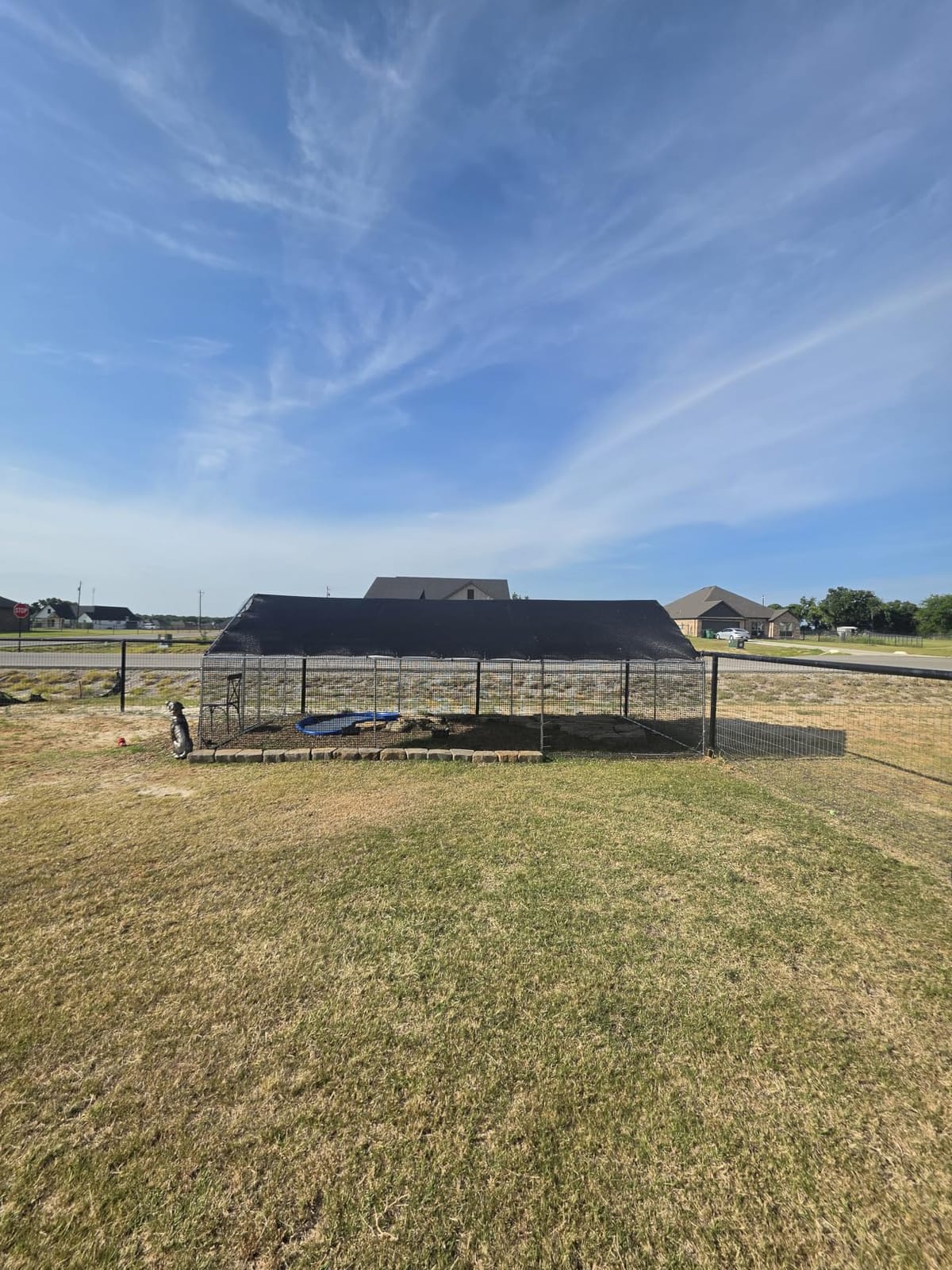 CAMMOO Walk in Chicken Coop, 19.7x9.8x6.6ft Chicken Run for Yard with Cover customer photo 2