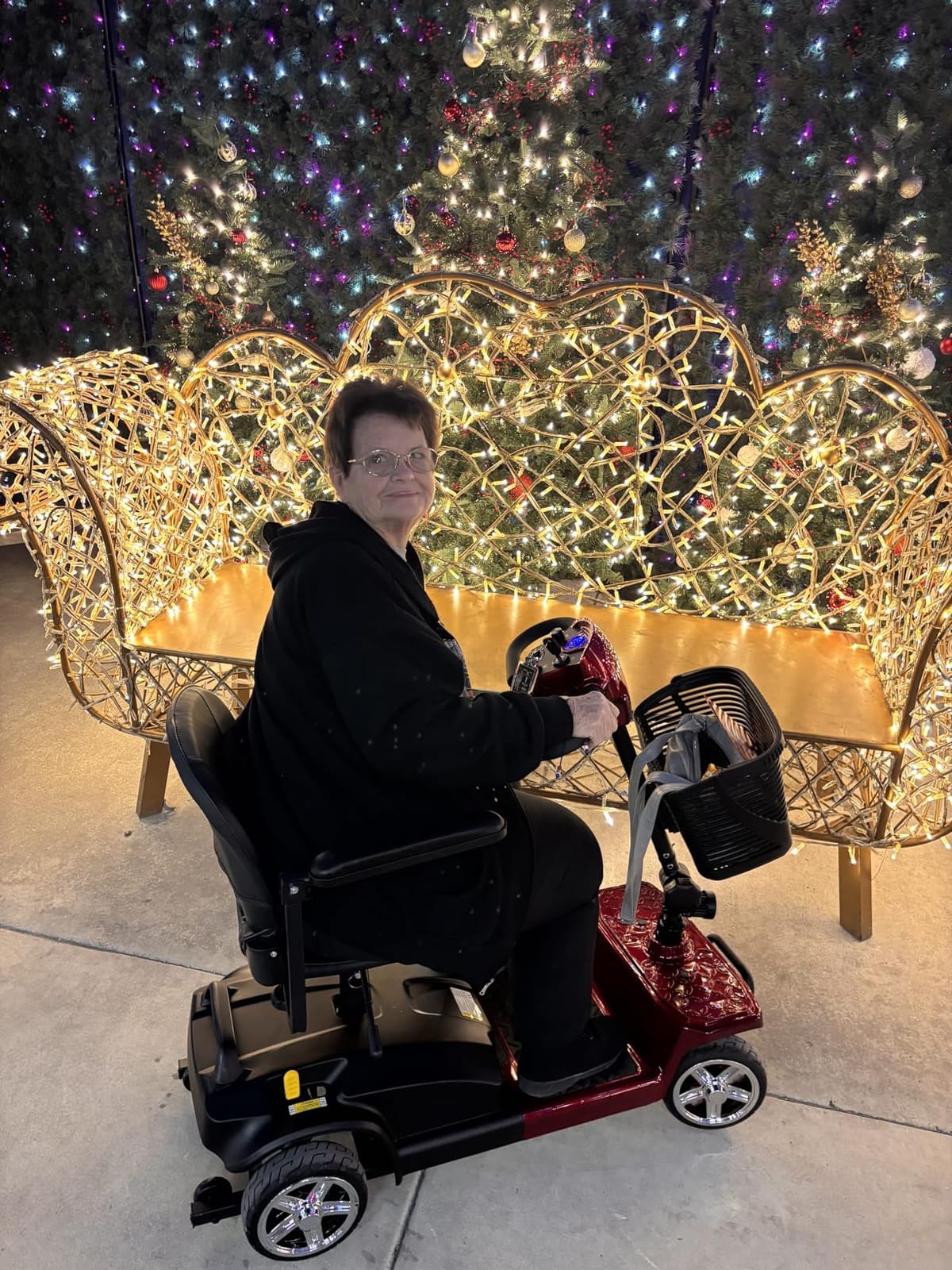 Heavy Duty All-Terrain Mobility Scooters for Adults & Seniors, 1000W Motor, 550LBS Capacity, 32 Miles Long Range & 9MPH, FDA Cleared, 13
