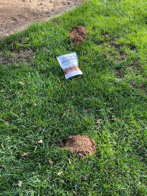 LEBMP Mole Repellent, Gopher Repellent, Groundhogs Repellant Outdoor-8Pcs customer photo 2