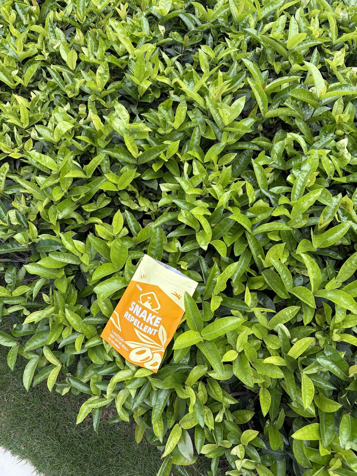 Mole & Snake Repellent, Gopher Repellent Outdoor, Vole & Snake Repellent for Yard, Armadillo & Groundhogs Deterrent for Lawn Pet Safe, Keep Snake Away for Garden/Garage, Safe to Use-8P customer photo 1