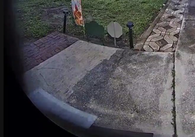 Cordless Pressure Washer Battery Powered, Handheld Cordless Power Washer customer photo 1
