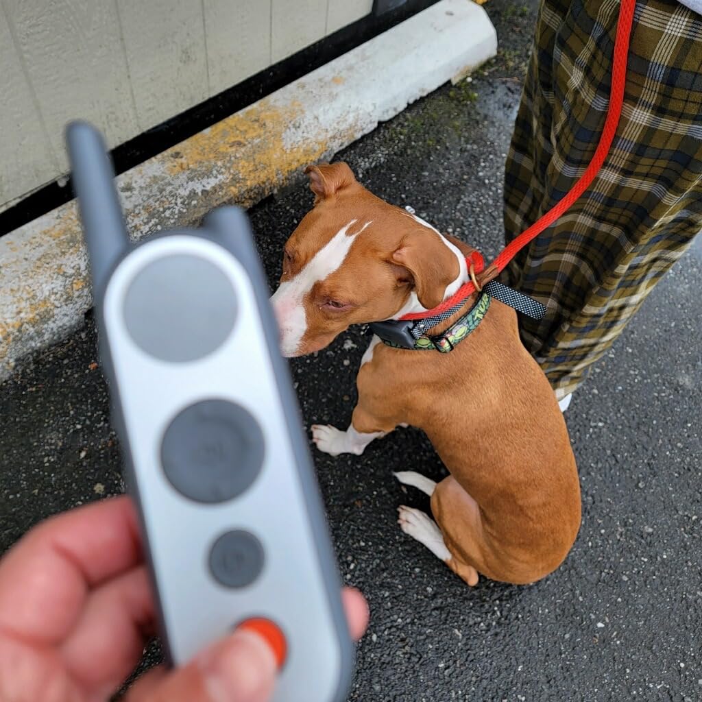 Htcuto Wireless Dog Fence System for 2 Large Medium Dogs (Pink 1V2 Fence) customer photo 2