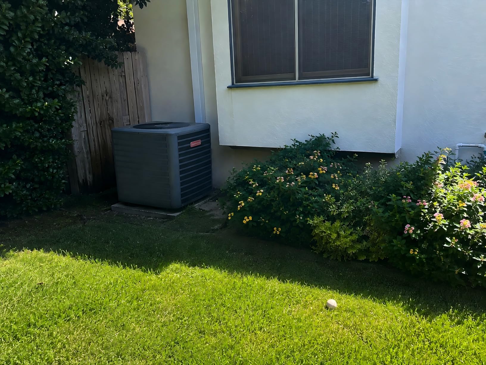 Mole Repellent, Gopher Repellent for Lawn, Groundhog Deterrent-12P customer photo 1