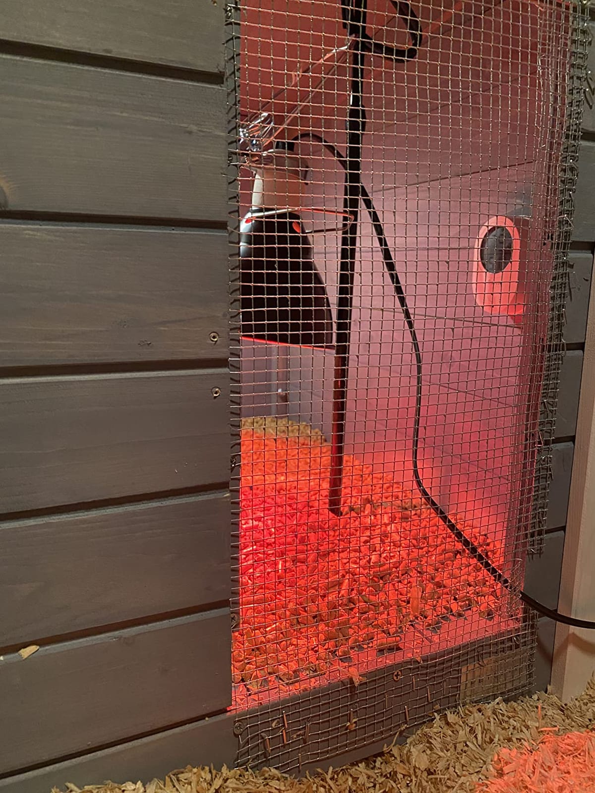 Petsfit Outdoor Chicken Coop with Run for 4-6 Chickens, 3 Nesting Boxes | 71 x 42 x 45 in; predator-resistant ground anchors, 3-door cleaning access, washable floor, 3 perches and chicken swing. customer photo 1