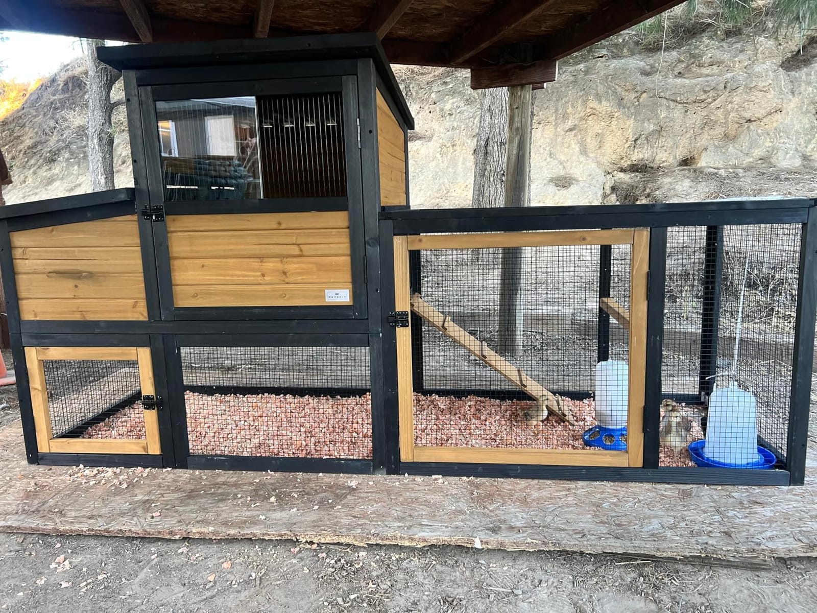 Petsfit Outdoor Chicken Coop with Run for 4-6 Chickens, 3 Nesting Boxes | 71 x 42 x 45 in; predator-resistant ground anchors, 3-door cleaning access, washable floor, 3 perches and chicken swing. customer photo 2