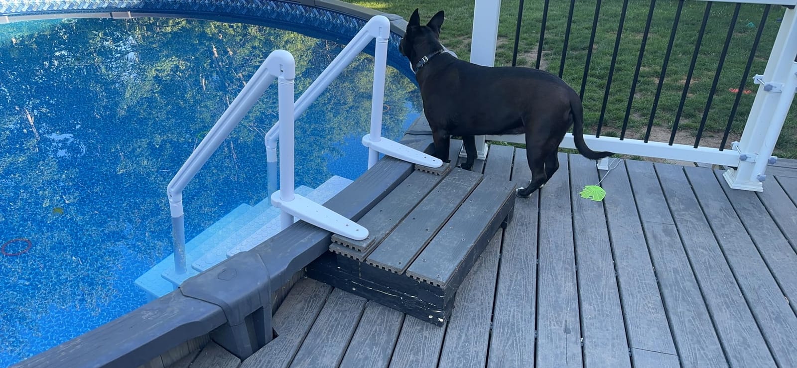 XtremepowerUS Above Ground Swimming Pool Ladder and 4-Step System with Handrails, Heavy-Duty Entry Ladder for Deck to Pool Access, Safety Step Design customer photo 2