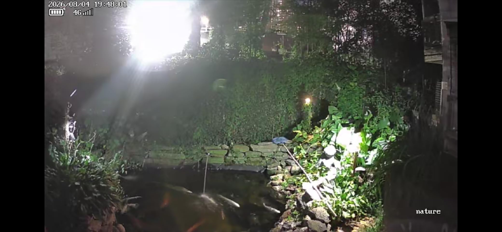 VOOPEAK Trail Camera, 4G LTE Cellular Game Cameras with 360° Live Streaming customer photo 1