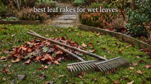 best leaf rakes for wet leaves