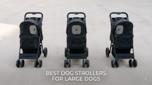 best dog strollers for large dogs