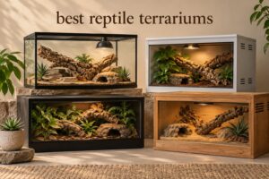 best reptile terrariums