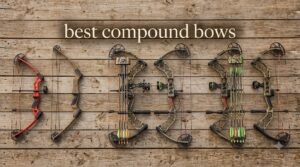 best compound bows