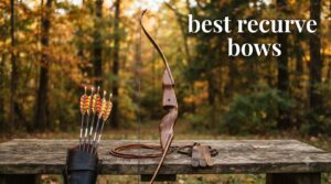 best recurve bows