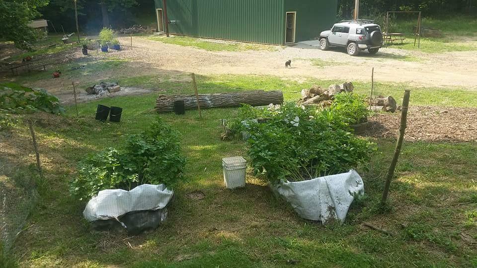 Easy Gardener, 6050AZ, Deer Block, Protective Mesh Covering, 7' X 100', Black customer photo 2