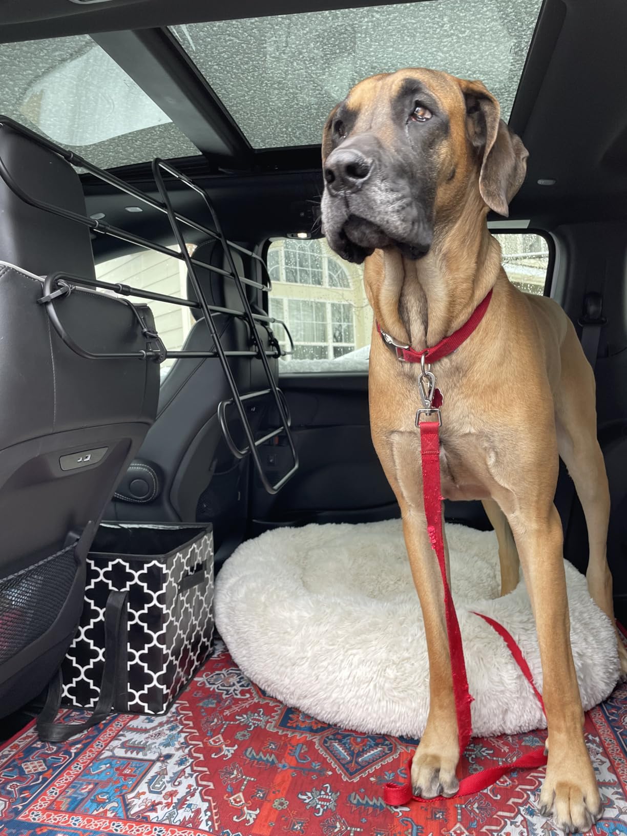 The ZooKeeper Original Zookeeper Car, SUV, and Truck Adjustable Dog Barrier customer photo 2