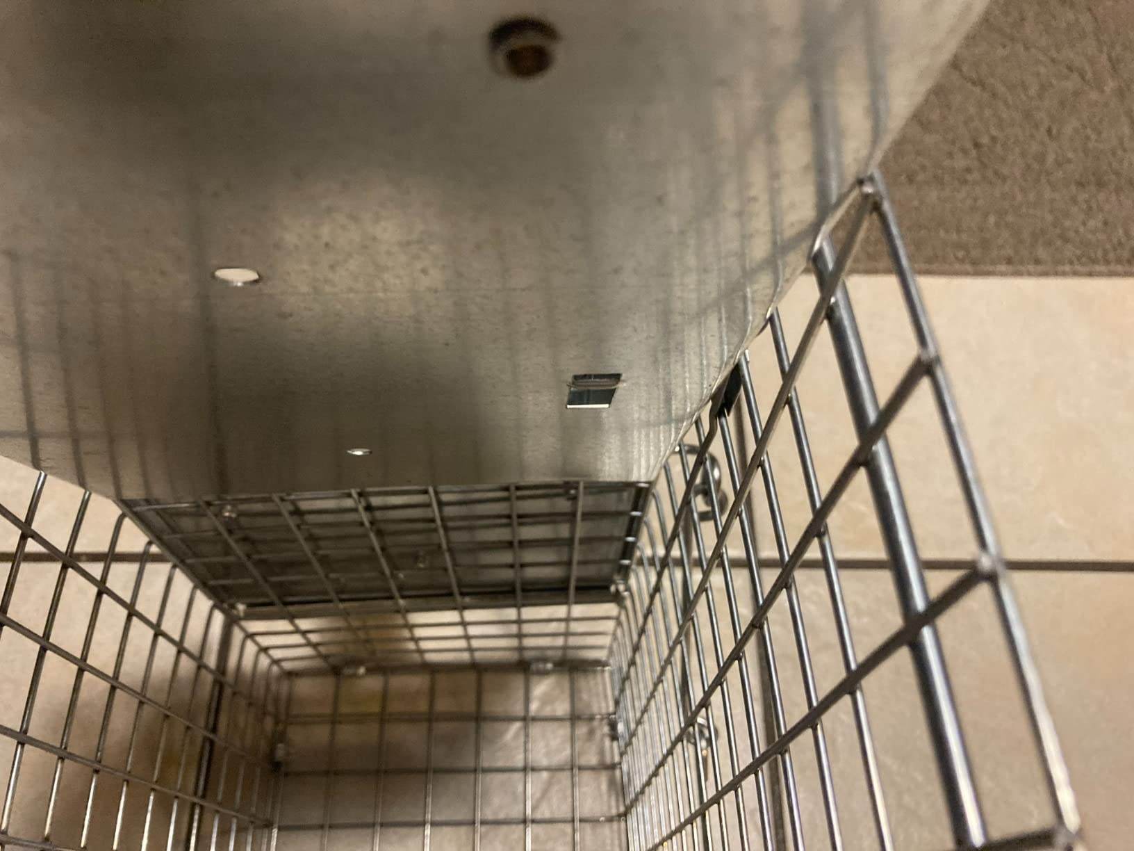 Havahart Easy-Set Catch and Release Small 1-Door Humane Live Animal Trap for Squirrels, Rabbits, Skunks, and Other Small Animals - 1083 customer photo 2