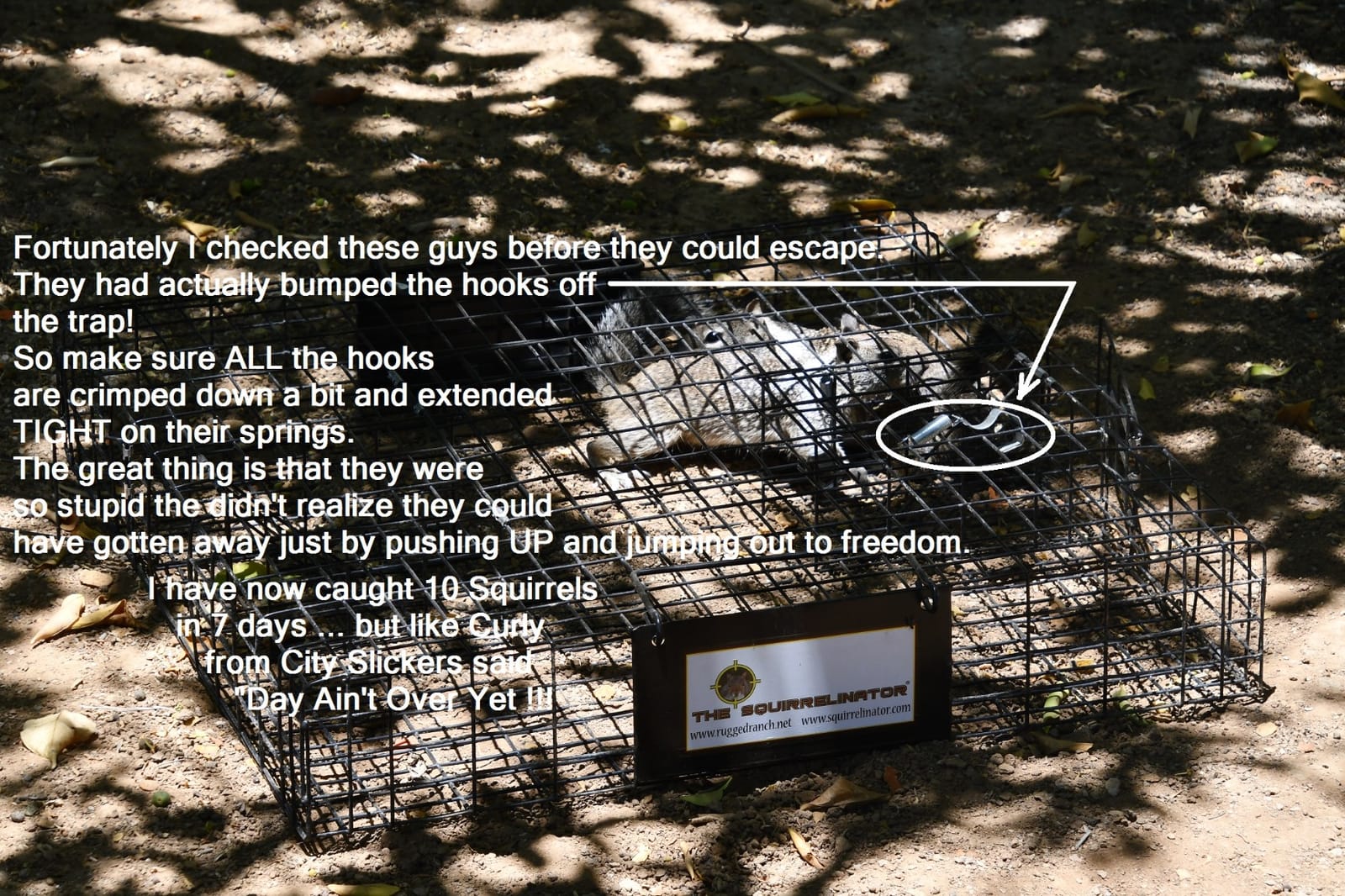 Rugged Ranch Squirrelinator Humane Multi-Catch Metal Wire Live Animal Trap customer photo 1