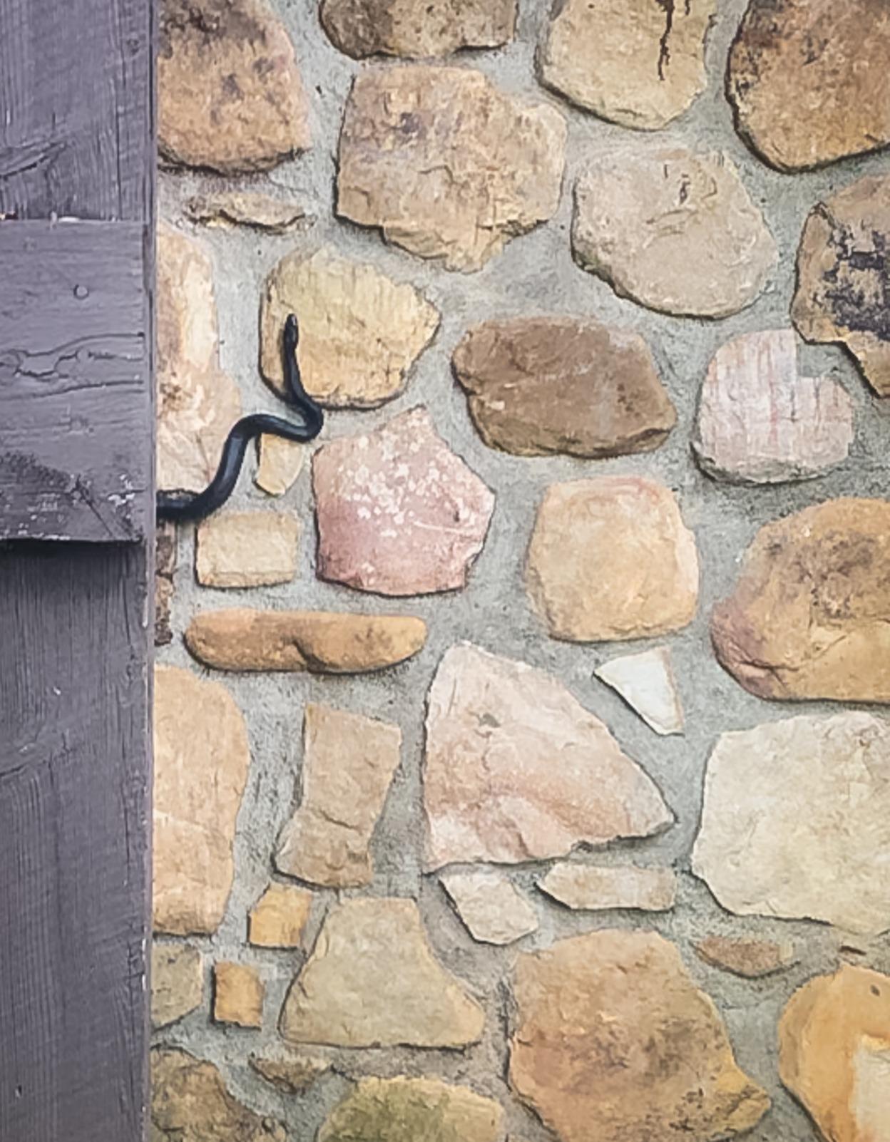 Nisus Snake Out Snake Repellent, Biodegradable, 4 lbs customer photo 1