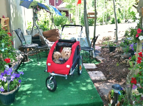 Booyah Medium pet Dog Bike Bicycle Trailer, Stroller and Jogger with Suspension,40 pounds, Adjustable Handlebar, Slow Down Braking, Parking Brake. Red customer photo 1