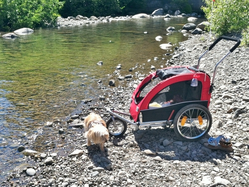 Booyah Medium pet Dog Bike Bicycle Trailer, Stroller and Jogger with Suspension,40 pounds, Adjustable Handlebar, Slow Down Braking, Parking Brake. Red customer photo 2