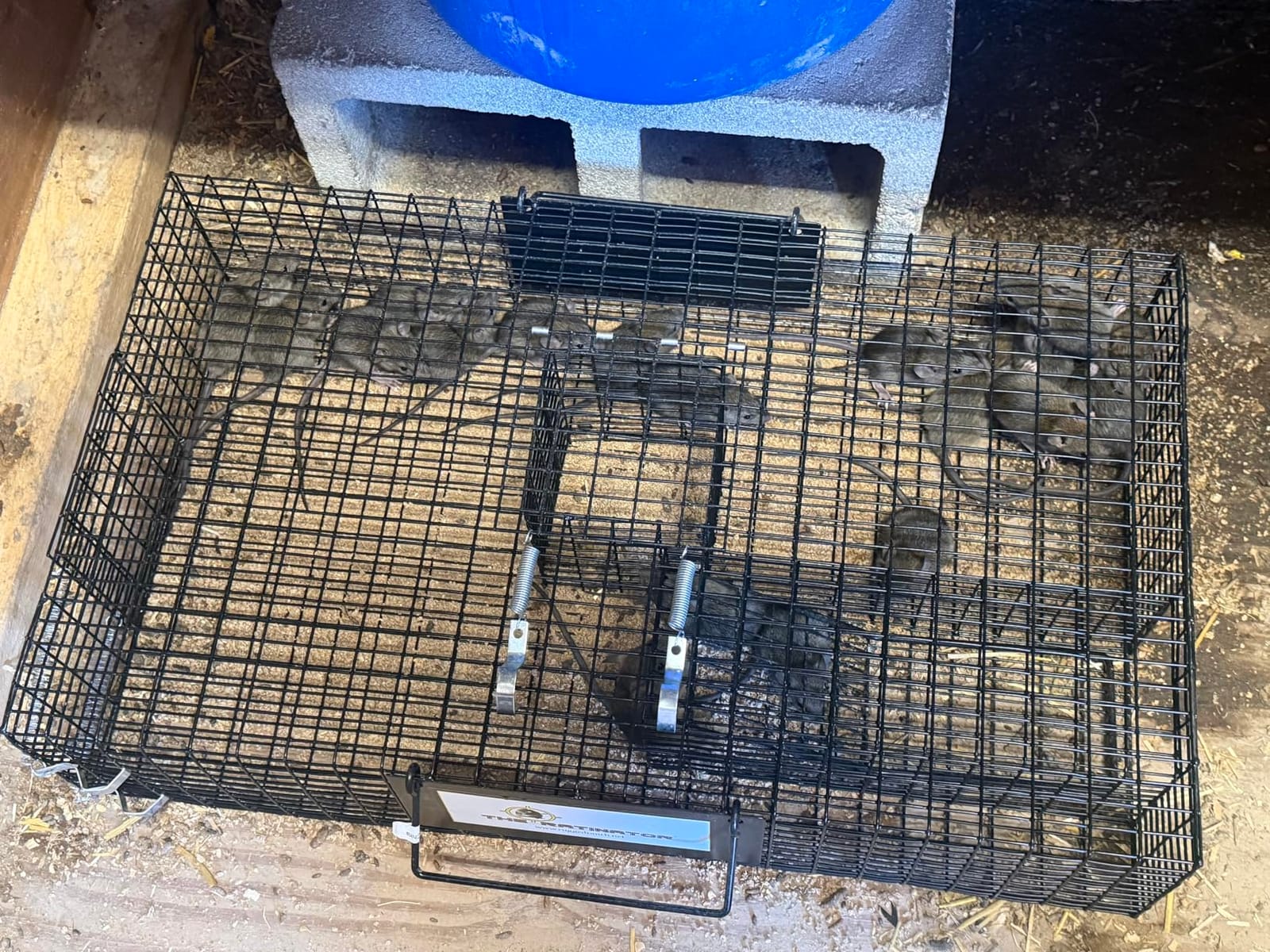 Rugged Ranch Ratinator Large Dual Door Live Rat & Mouse Trap Metal Cage customer photo 1