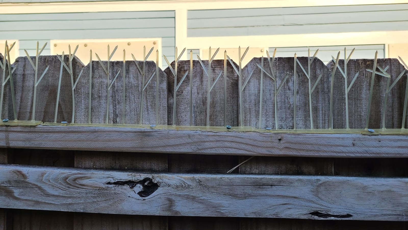 Aspectek Bird Spikes, 10 ft Plastic Pigeon Deterrent for Outdoor Ledges, Polycarbonate Durable Spikes for Crows, Seagulls and Small Birds customer photo 1