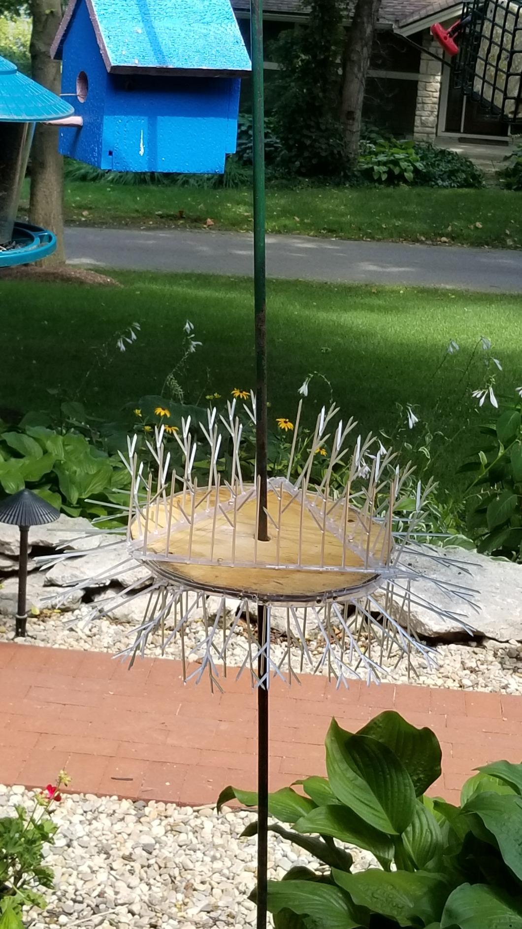 Aspectek Bird Spikes, 10 ft Plastic Pigeon Deterrent for Outdoor Ledges, Polycarbonate Durable Spikes for Crows, Seagulls and Small Birds customer photo 2
