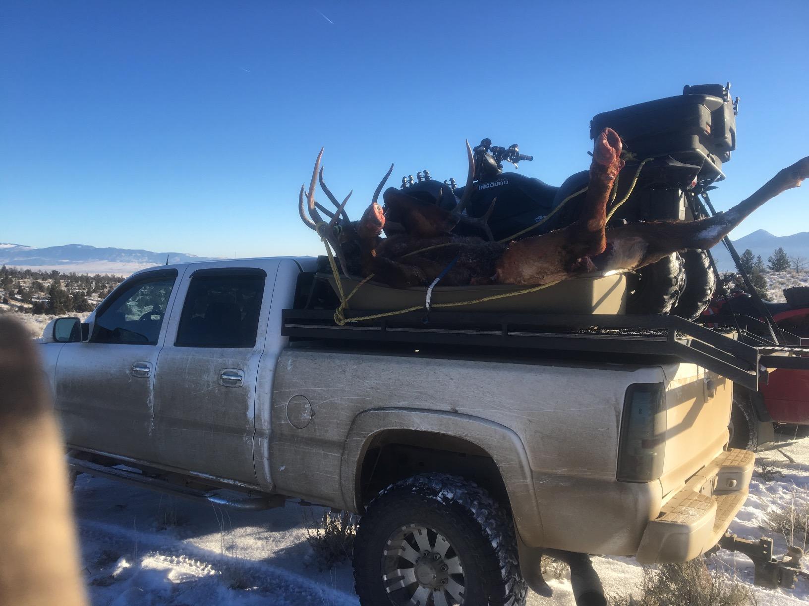 Beavertail Sport Sled customer photo 2