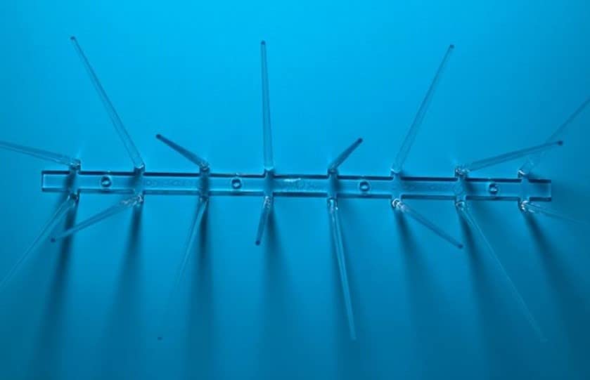 Bird B Gone EnviroSpike Plastic Bird Spikes, 24ft, Clear customer photo 2