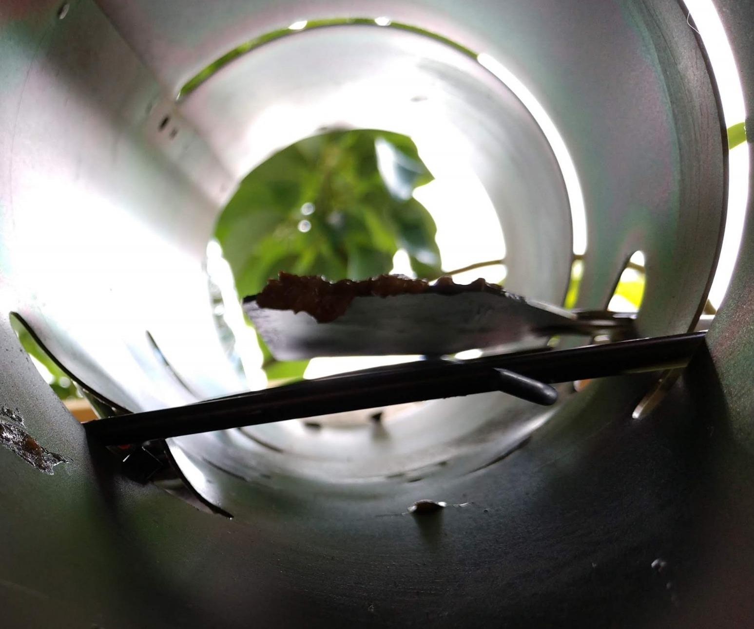 WCS Tube Tunnel Squirrel Trap - 15