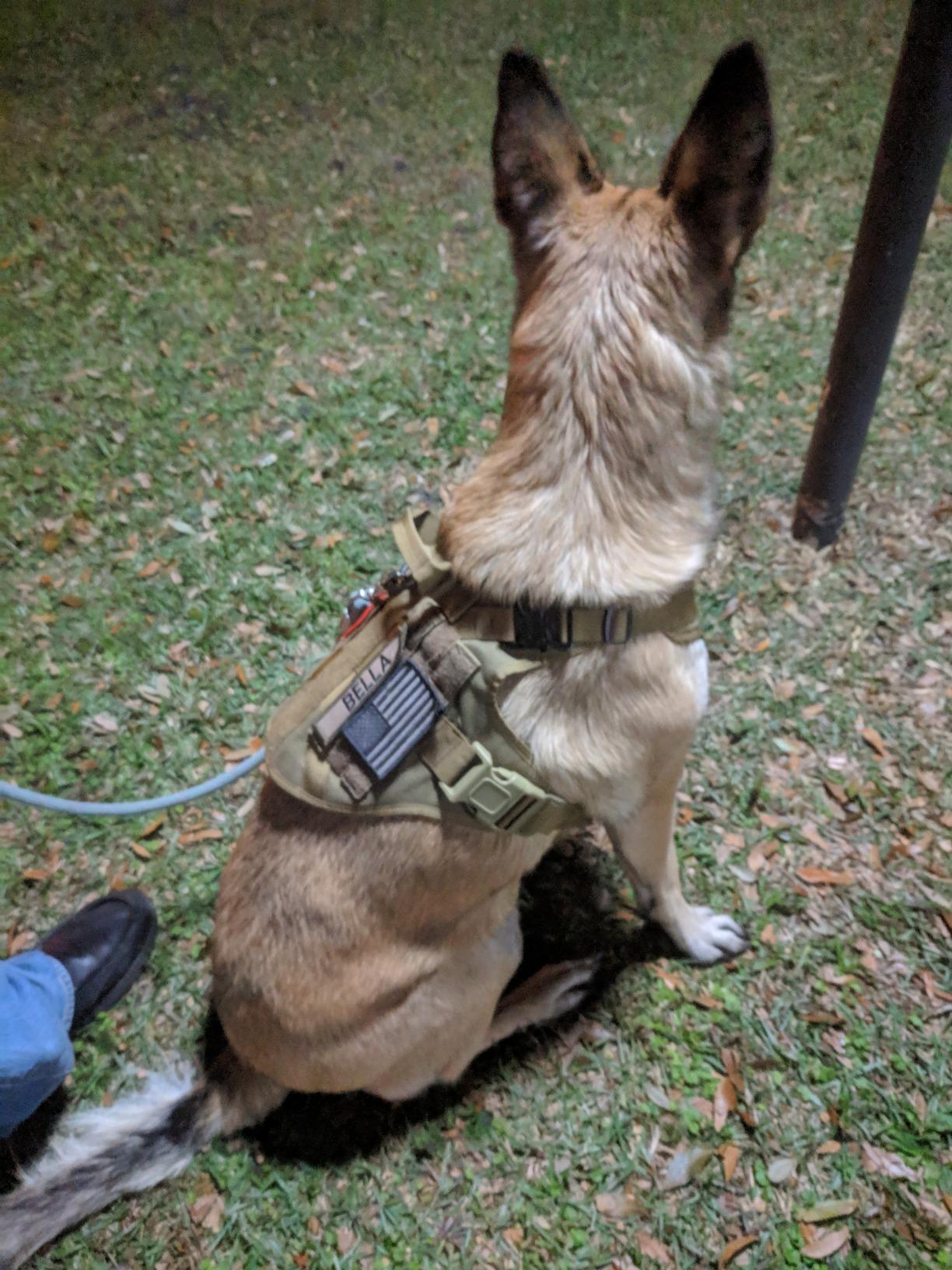 ICEFANG Tactical Dog Harness for Medium Dogs,Reflective No Pull Dog Vest customer photo 2