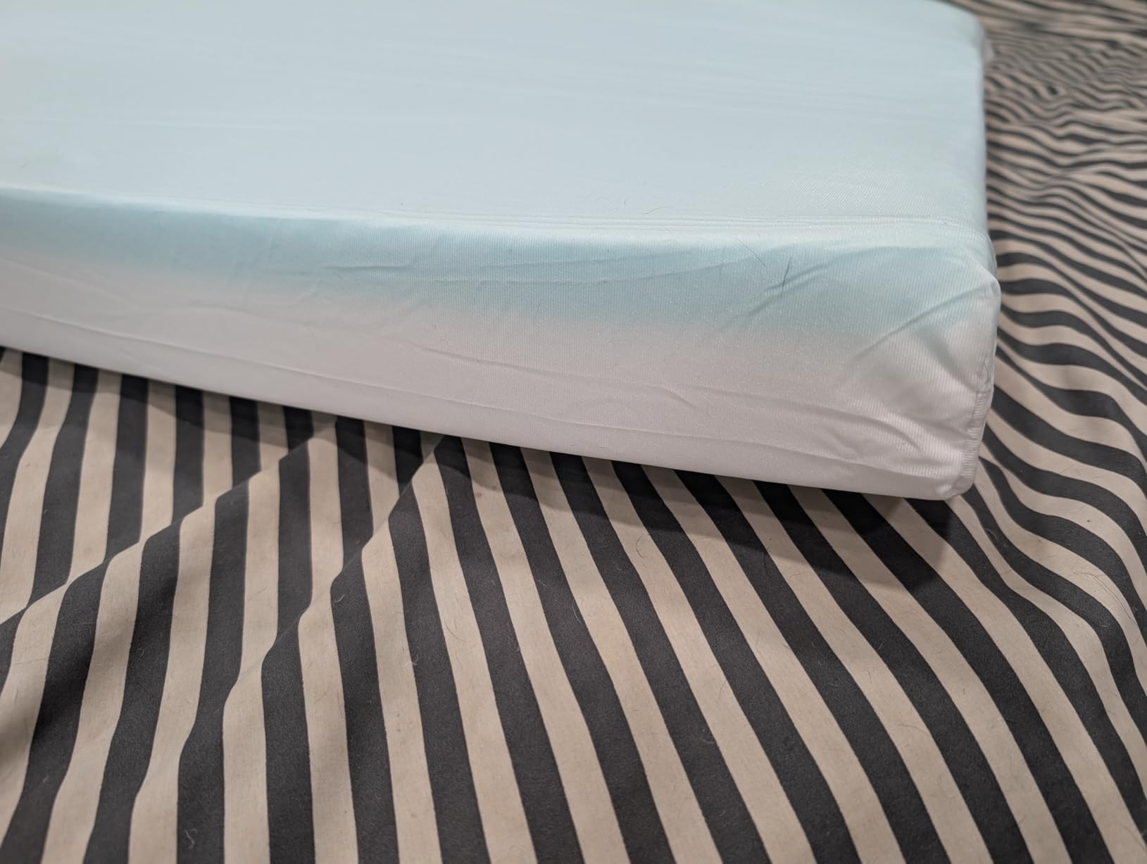 BarkBox Orthopedic Dog Bed - Large customer photo 2