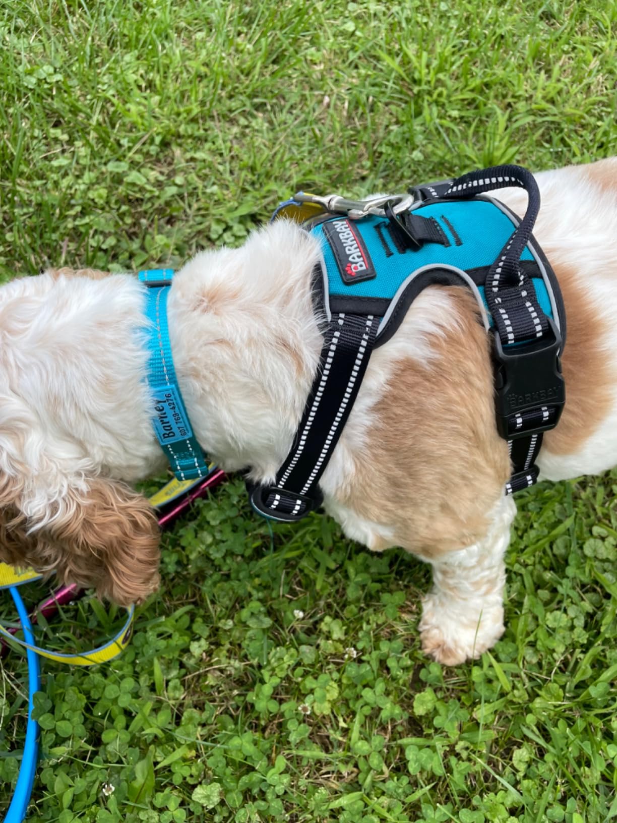 BARKBAY Dog Harness No Pull for Large Dogs Front Back Clips,Dog Vest customer photo 1