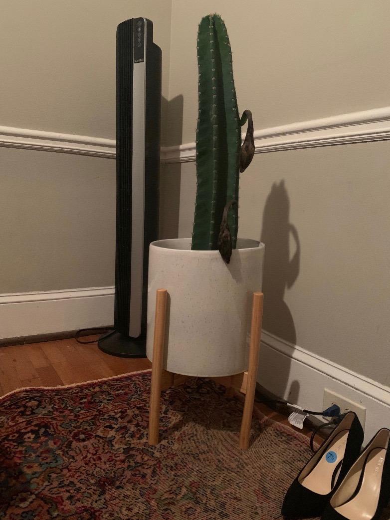 Fox & Fern Large Adjustable Plant Stand Indoor, Bamboo Stand, 11 - 15 Inch customer photo 2