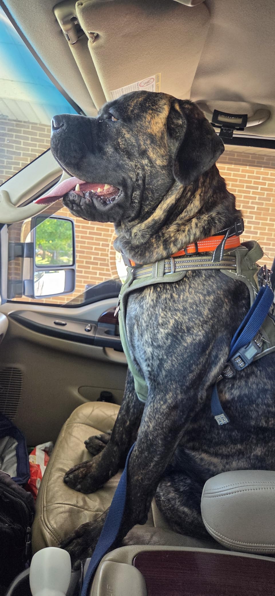 AUROTH Dog Harness for Large Dogs, No Pull Tactical Dog Vest Heavy Duty customer photo 1