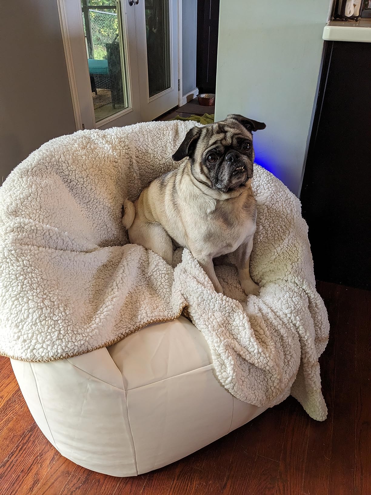 Big Joe Milano Outdoor Beanbag Chair White Marine customer photo 2